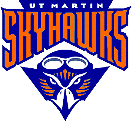 Tennessee-Martin Skyhawks 2003-2008 Primary Logo iron on transfers for T-shirts